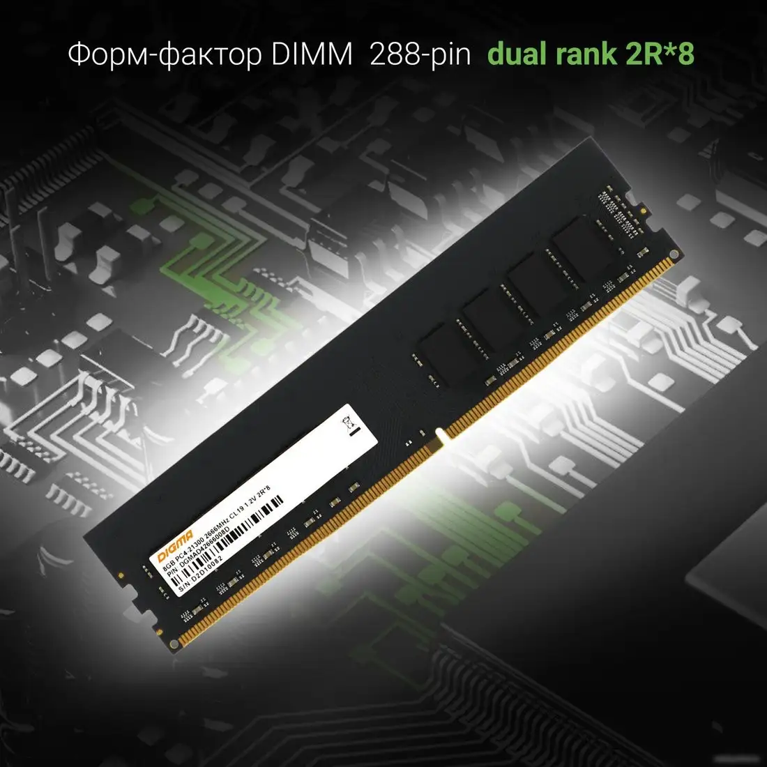 Оперативная память Digma 8ГБ DDR4 2666 МГц DGMAD42666008D – фото товара
