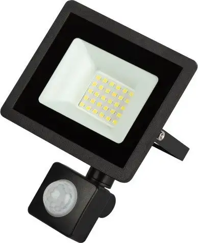 Уличный прожектор ЭРА LPR-042-2-65K-030 – фото товара