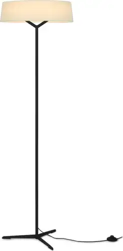 Торшер Freya Vabi FR6132FL-L15B – изображение в каталоге