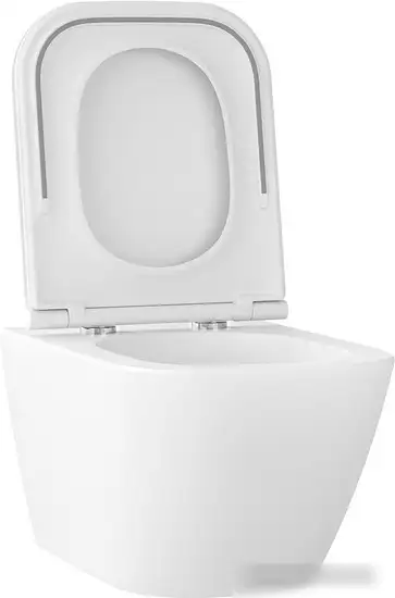 Унитаз подвесной Wellsee Pure BY Wellsee RimFree 182603001 (чаша, пневмокрышка, матовый белый) - фото товара