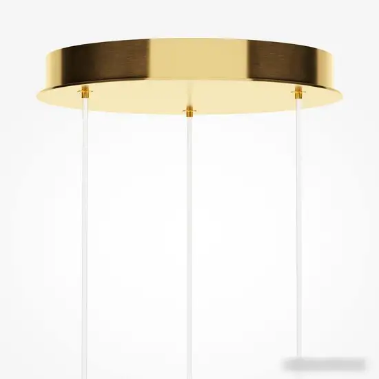 Подвесная люстра Maytoni Foresight MOD347PL-L24BS3K – фото товара
