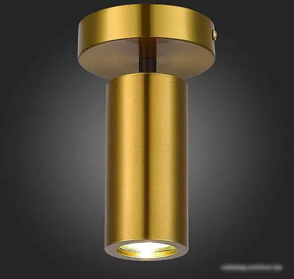 Припотолочная люстра ST Luce SL1215.402.01 – фото товара