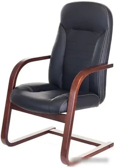 Кресло Бюрократ T-9923WALNUT-AV (черный) – фото товара