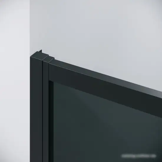 Душевая дверь Grossman Cosmo 120x195 100.K33.02.120.21.10 (черный матовый/стекло тонированное) - фото товара