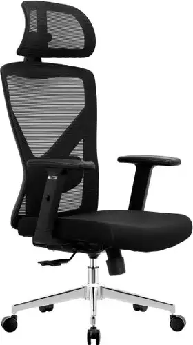 Офисное кресло Evolution ErgoLine 2 (черный) – изображение в каталоге