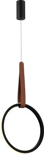 Подвесная люстра ST Luce SL6131.403.12 – изображение в каталоге