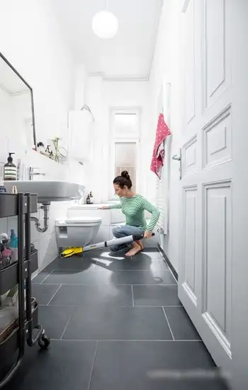 Пылесос Karcher Karcher FC 3 Cordless - фото товара