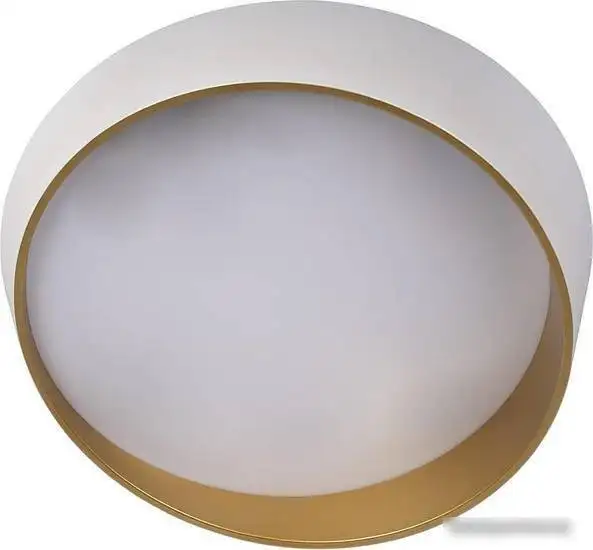 Припотолочная люстра LOFT IT Coin 10200 Black – фото товара