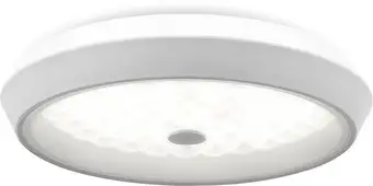 Припотолочная люстра Freya FR10012CL-L24W (белый) – изображение в каталоге