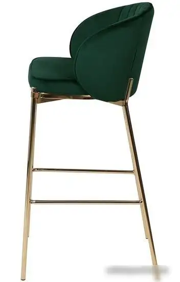 Стул Bergenson Bjorn Coral BEBA-CO10888 (темно-зеленый) – фото товара