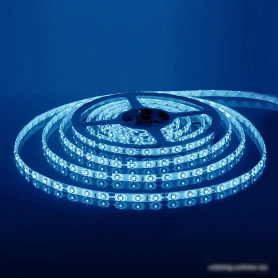 Светодиодная лента Elektrostandard 24V 14.4W 60Led 5050 IP20 синий a052975 – фото товара