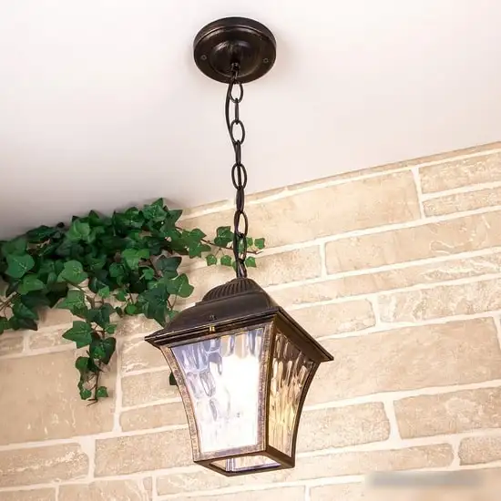 Уличный подвесной светильник Elektrostandard Apus H GL 1009H (черное золото) – фото товара