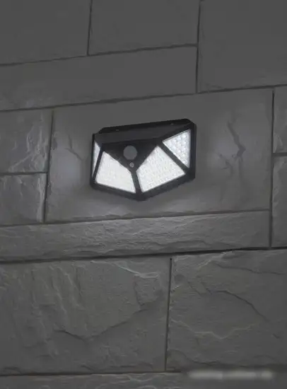 Фасадный светильник ЭРА ERAFS100-04 – фото товара