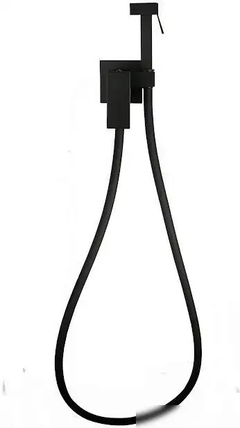 Гигиенический душ Roxen Caspia 50096000-B - фото товара