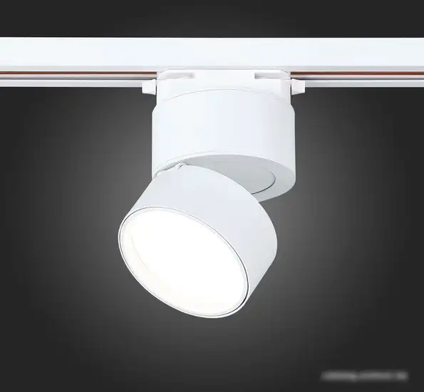 Светильник ST Luce ST651.546.09 – фото товара