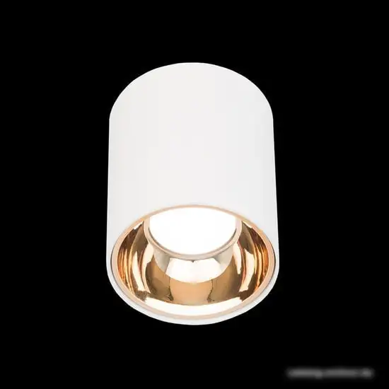 Точечный светильник Citilux Старк CL7440103 – фото товара