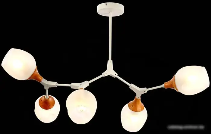 Люстра средней высоты Evoluce Ciotolla SLE113502-05 – фото товара
