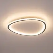 Припотолочная люстра Citilux Trio CL215B251E (черный) – изображение в каталоге