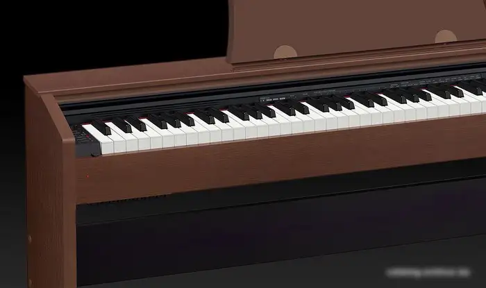 Цифровое пианино Casio Privia PX-770 (коричневый) – фото товара