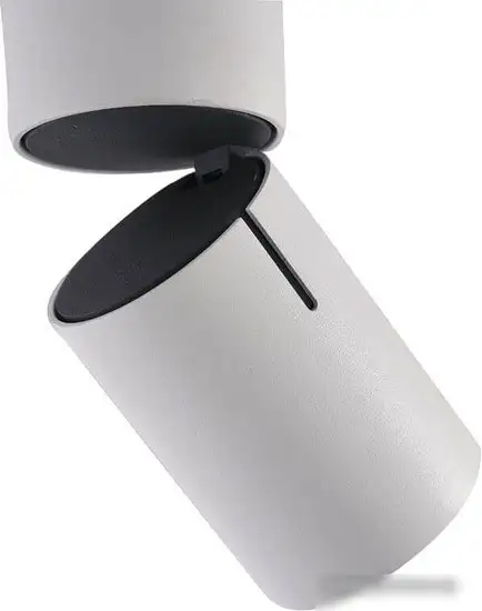 Спот Vele Luce Carrisi VL8061S21 – фото товара