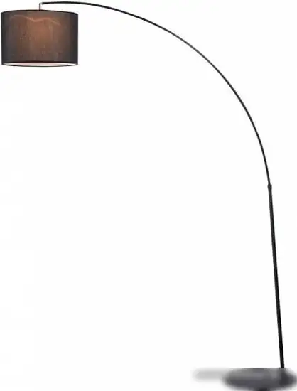 Торшер Maytoni Nevada Z328-FL-01-B – фото товара