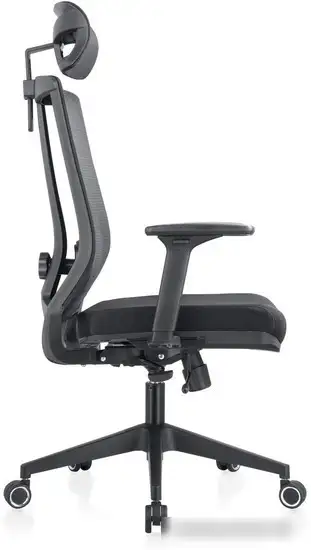 Кресло Evolution ERGO BLISS Black (черный) – фото товара