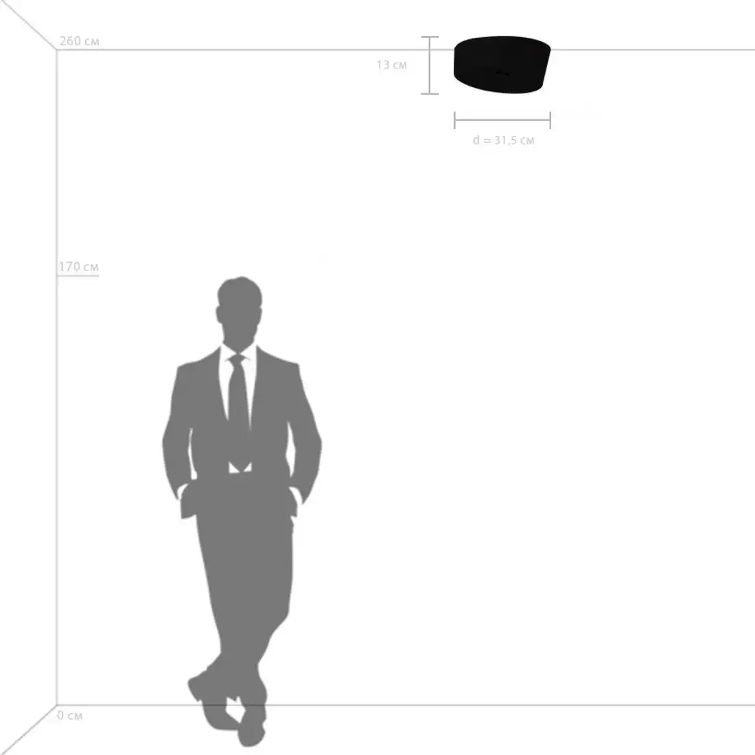 Припотолочная люстра Lightstar Celesta 809356 – фото товара