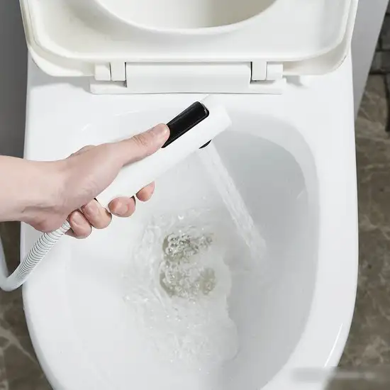 Гигиенический душ Rose R1805C-1 - фото товара