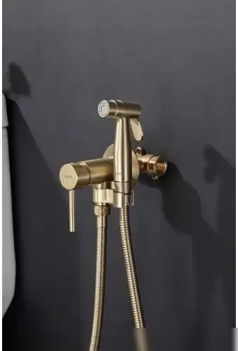 Гигиенический душ Gappo G7206-3 - фото товара