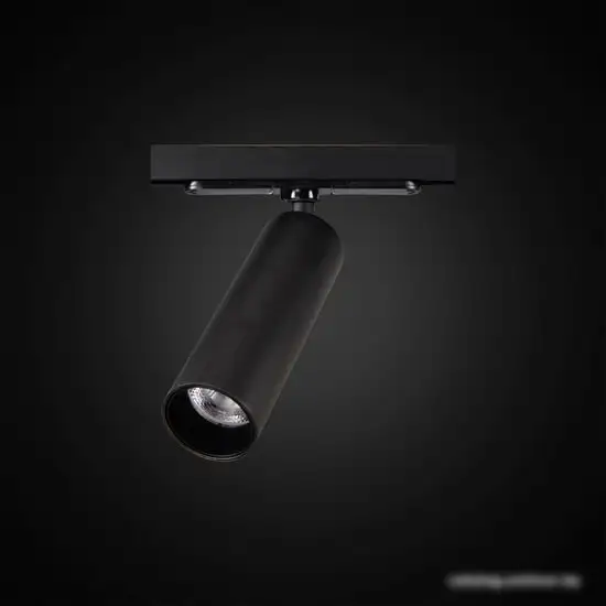 Трековый светильник Citilux Тубус CL01T071N – фото товара