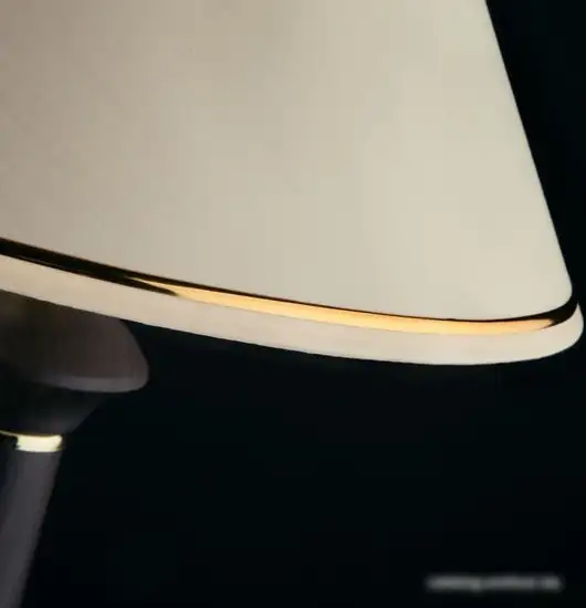 Лампа Евросвет Lorenzo 60019/1 (венге)