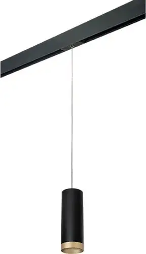 Трековый светильник Lightstar Rullo PRORP48740 – изображение в каталоге