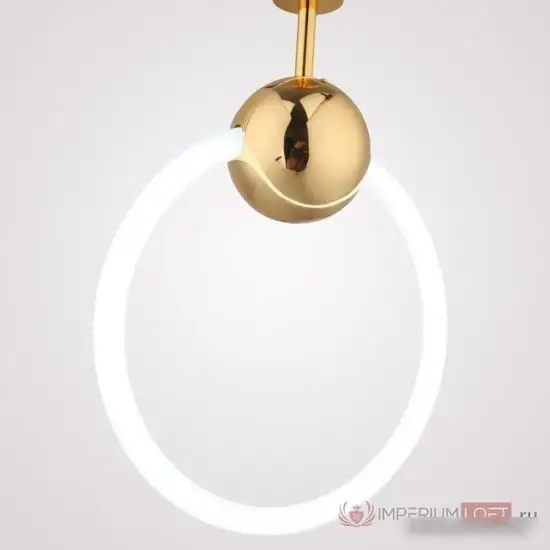 Подвесная люстра ImperiumLoft Ring01 178413-26 – фото товара