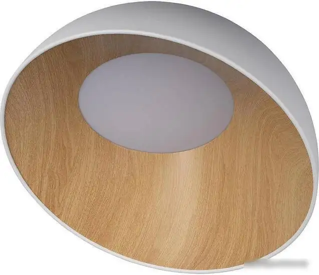 Люстра средней высоты LOFT IT Grace 10203/1W Mult – фото товара