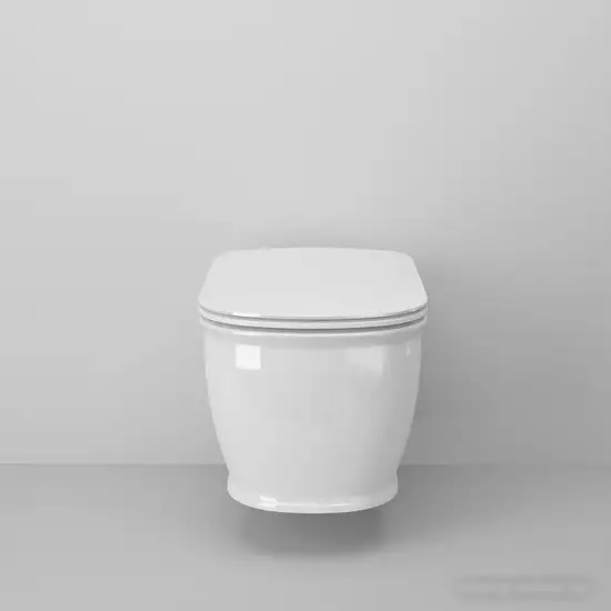 Унитаз подвесной Ambassador Royal 263K19002RS - фото товара