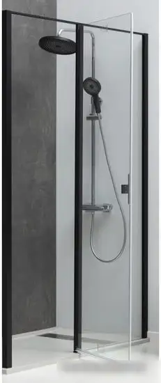 Душевая дверь Allen Brau Priority 3.31033.BBA 294062 (черный браш) - фото товара