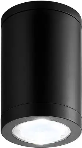 Припотолочная люстра Escada 30008P/01 (черный) – изображение в каталоге