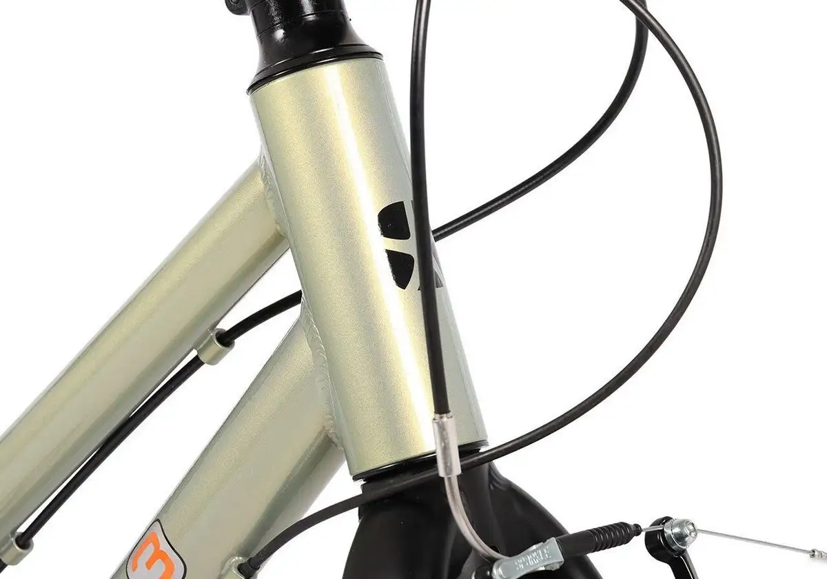 Велосипед Maxiscoo 3bike 24 L 2026 MSC-M3-2423 (зеленый) – фото товара