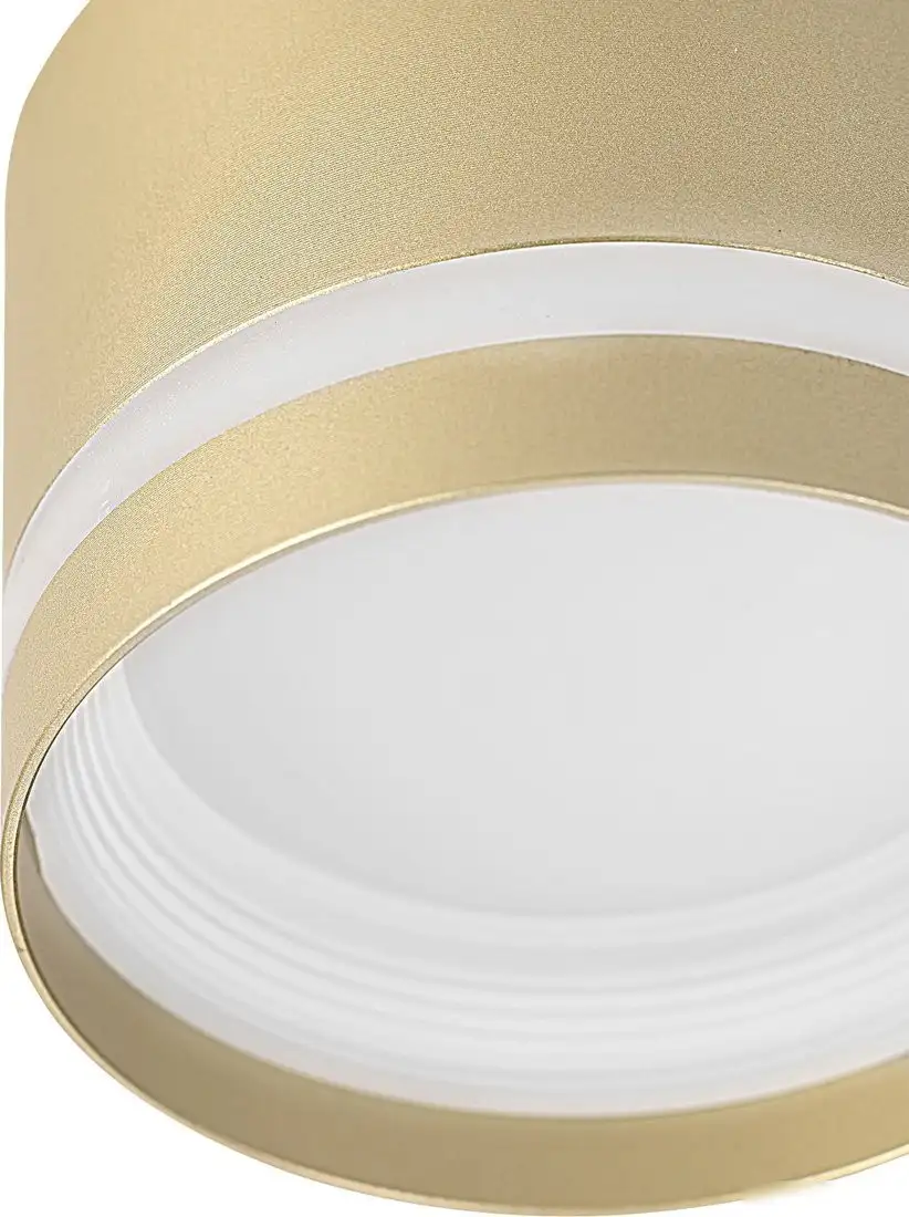 Припотолочная люстра Citilux Hardy CL002C12 – фото товара