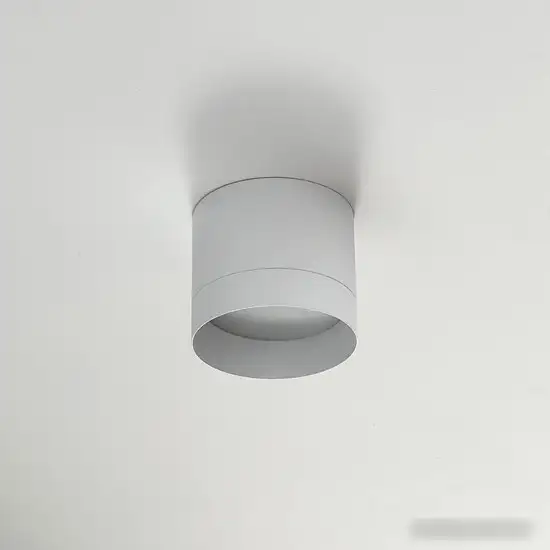 Точечный светильник TruEnergy 21025 – фото товара