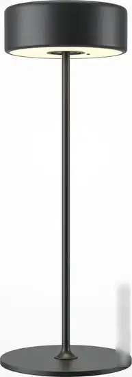 Настольная лампа Maytoni AI Collaboration MOD229TL-L3B3K2 – фото товара