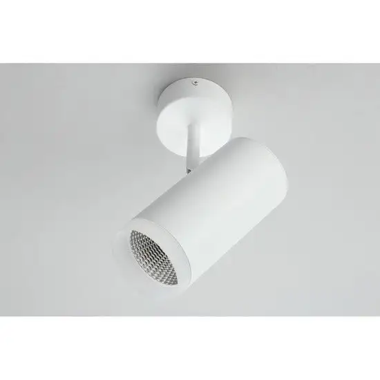 Спот Omnilux Maratea OML-102609-20 – фото товара