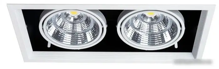 Точечный светильник Arte Lamp Merga A8450PL-2WH – фото товара