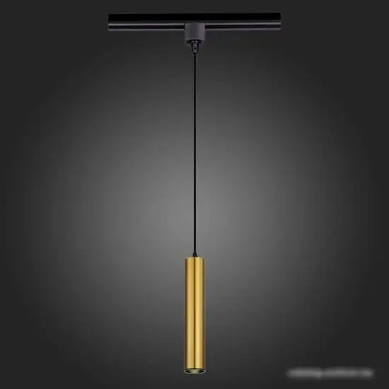 Трековый светильник ST Luce ST151.406.01  – фото товара