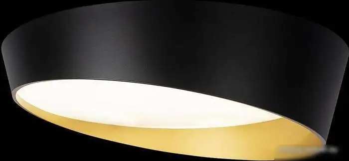 Припотолочная люстра LOFT IT Coin 10199 White – фото товара