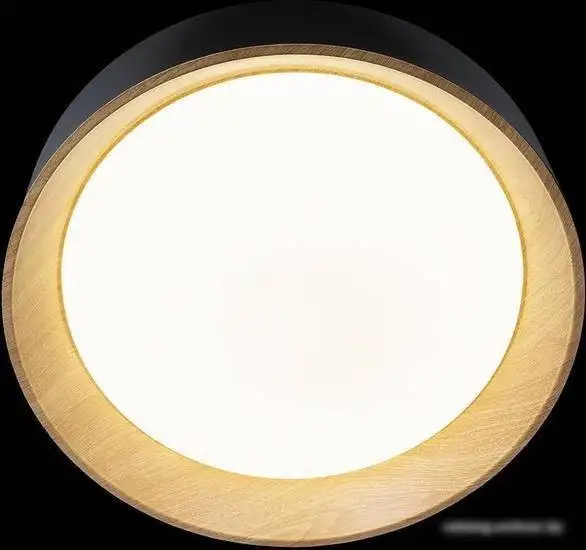 Припотолочная люстра LOFT IT Coin 10202 White – фото товара