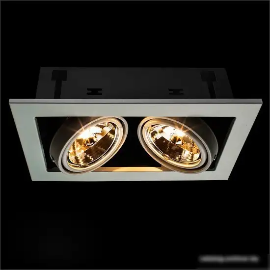 Точечный светильник Arte Lamp Cardani A5930PL-2WH – фото товара
