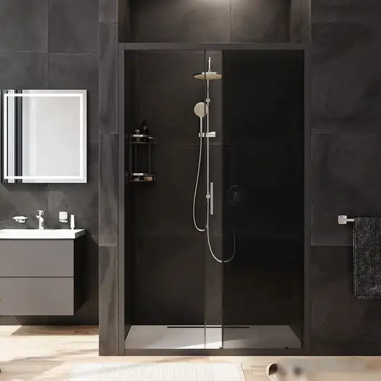 Душевая дверь AM.PM Gem Solo W90G-120-1-195BG - фото товара