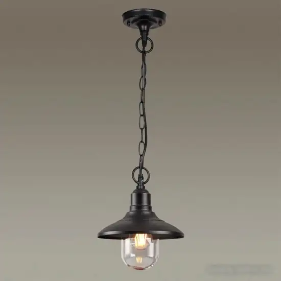 Уличный подвесной светильник Odeon Light Campa 4965/1
