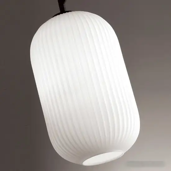 Подвесная люстра Odeon Light Roofi 4751/1 – фото товара
